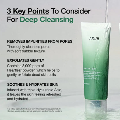 Heartleaf Quercetinol Pore Deep Cleansing Foam